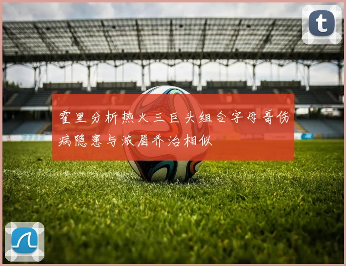 霍里分析热火三巨头组合字母哥伤病隐患与浓眉乔治相似